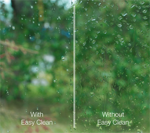 Celsius Easy Clean