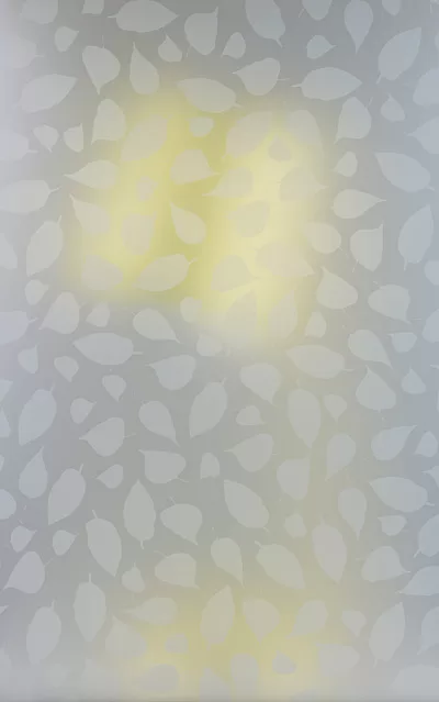 Bay™ Opal™ Etched Level 5