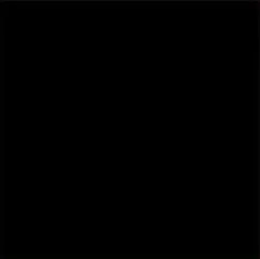 B160 Black / Solar Reflection 4% / Light Reflection 4% / Solar Absorption 96%