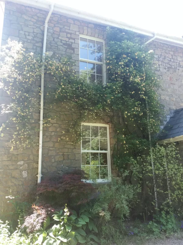 Textured White Legacy Vertical Sliding Sash Windows installed for the Hawes of Chesptow